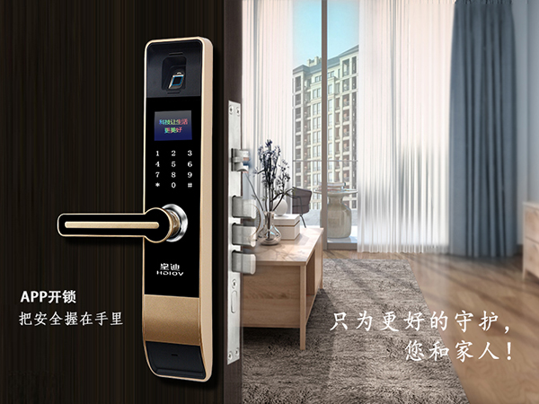 智能鎖廠家在國內普遍嗎？